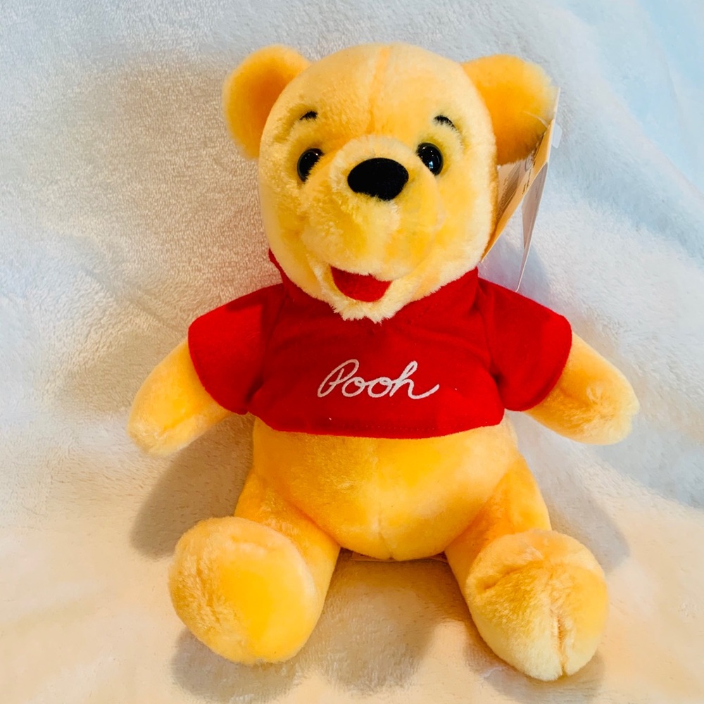 Vintage Disney Park Winnie the Pooh 10”